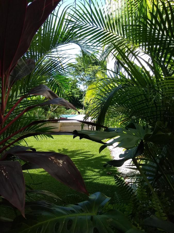Palm Beach Inn Playa Grande Exterior foto